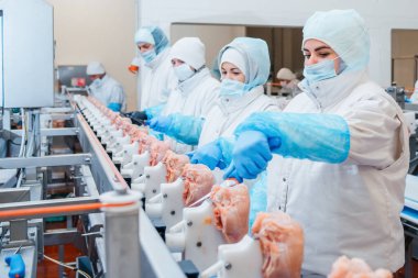 Group of workers working at a chicken factory - food processing plant concepts.Automated production line in modern food factory. Ravioli production. People working.Production line in the food factory.Meat processing plant. clipart