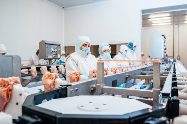 Bir tavuk fabrikasında çalışan bir grup işçi - gıda işleme fabrikası kavramları. Modern gıda fabrikasında üretim bandı. Ravioli yapımı. Çalışan insanlar. Gıda fabrikasında üretim hattı. Et işleme tesisi..