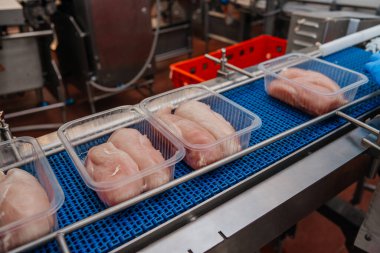 Paketleme ve et kesme ile üretim hattı. Yiyecek ürünleri konveyörde plastik ambalajda tavuk eti. Et ürünleri üretimi için fabrika..