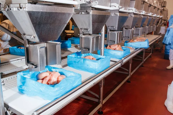 Prodotti Alimentari Carne Pollo Imballaggi Plastica Sul Trasportatore Filetto Pollo — Foto Stock