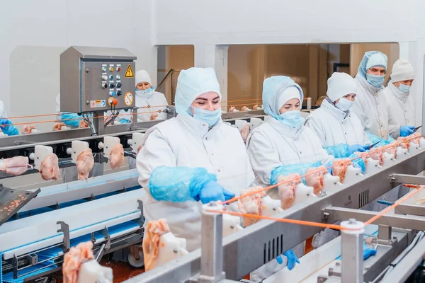 Production line in the food factory.Factory for the production of food from meat.Industrial equipment at a meat factory.Automated production line in modern food factory. Ravioli production. People working.