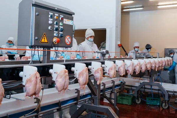 Gruppo Lavoratori Che Lavorano Una Fabbrica Pollo Concetti Impianti Lavorazione — Foto Stock