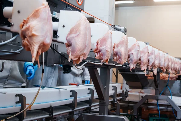 食肉加工工場鶏肉工場で働く人々現代の食品工場での自動生産ライン半完成肉製品の生産ライン食肉工場での産業機器 — ストック写真