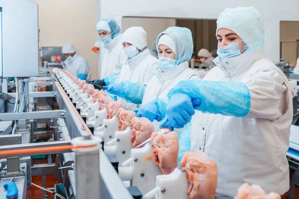 Bir tavuk fabrikasında çalışan bir grup işçi - gıda işleme fabrikası kavramları. Modern gıda fabrikasında üretim bandı. Ravioli yapımı. Çalışan insanlar. Gıda fabrikasında üretim hattı. Et işleme tesisi..