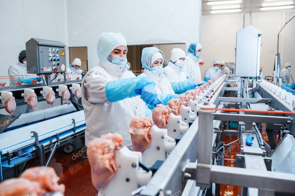 Group of workers working at a chicken factory - food processing plant concepts.Automated production line in modern food factory. Ravioli production. People working.Production line in the food factory.Meat processing plant.