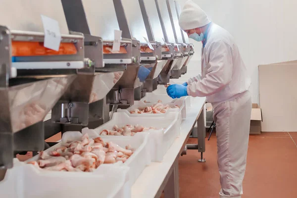 Attrezzature Industriali Una Fabbrica Carne Linea Produzione Filetti Pollo Fabbrica — Foto Stock