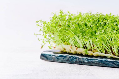 Sağlıklı beslenme. Mikro yeşiller. Kaliteli organik bitkiler. Mikro salatadan yeşil yapraklar..