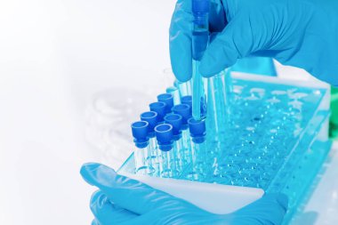 Kadın araştırmacı, test tüpleriyle laboratuarda çalışan bir laboratuvar asistanı mikropipet doldurma tüpü kullanıyor. Aşı örnekleri üretiyor. Aşılar ve uyuşturucular laboratuvarında geliştirme.