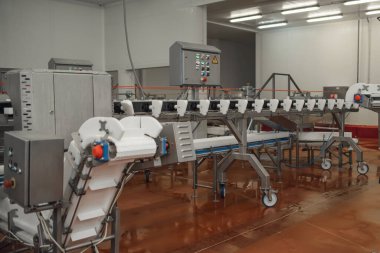 Otomatik kümes hayvanları. Et işleme fabrikası. Endüstriyel üretim büyük miktarda et kesiyor.
