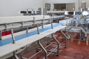 Otomatik kümes hayvanları. Et işleme fabrikası. Endüstriyel üretim büyük miktarda et kesiyor.