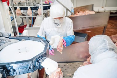 Fabrikada et işleme makinesi. Endüstriyel ve teknoloji kavramı. otomatik hat kümes hayvanları ekipmanı.