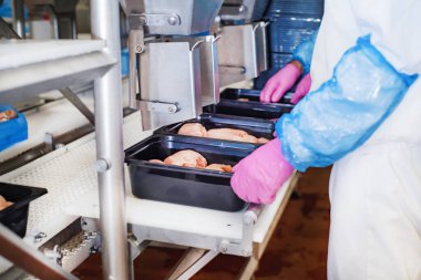 Tavuk fileto üretim hattı. Et işleme ekipmanları. Yarı bitmiş et ürünlerinin üretimi için sıra. Plastik paketleme için konveyör bandında tavuk eti işleniyor.