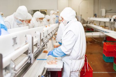 Bir tavuk fabrikasında çalışan bir grup işçi. Yiyecek işleme tesisi konseptleri. Et fabrikası. Tavuk taşıma bandında.