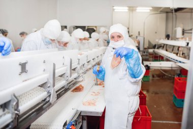 Bir tavuk fabrikasında çalışan bir grup işçi. Yiyecek işleme tesisi konseptleri. Et fabrikası. Tavuk taşıma bandında.