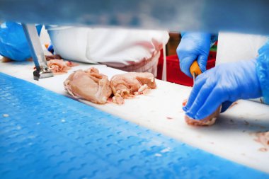 Çalışan insanlar. Yiyecek fabrikasının stok fotoğrafında üretim hattı. Et üretimi için bir fabrika..