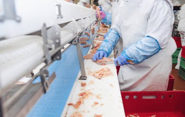 Çalışan insanlar. Yiyecek fabrikasının stok fotoğrafında üretim hattı. Et üretimi için bir fabrika..