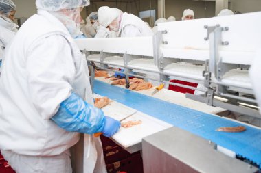 Paketleme ve et kesme ile üretim hattı. İnsanlar tavuk fabrikasında çalışıyor. Stok fotoğrafı..