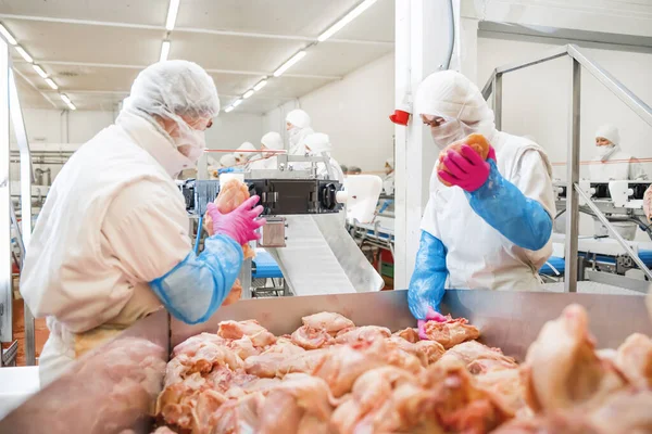 Linea Produzione Con Confezionamento Taglio Carne Persone Che Lavorano Allevamento — Foto Stock