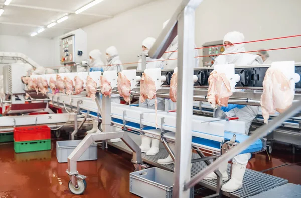 現代の食品工場での自動生産ライン 肉からの食品の生産のための工場 食肉工場での産業機器 — ストック写真