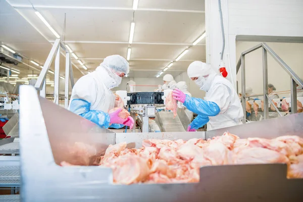 Fleischverarbeitungsmaschine Einer Fabrik Industrie Und Technologiekonzept Automatisierte Anlage Für Geflügel — Stockfoto