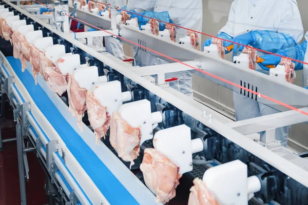 Automated production line in modern food factory.Factory for the production of food from meat.Industrial equipment at a meat factory.The meat factory. chicken on a conveyor belt.meat processing plant.meat processing plant assembly line.