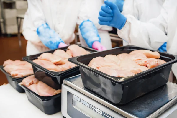 働く人々 チキンフィレの生産ライン 食肉処理装置 半製品の生産のためのラインプラスチック包装用コンベアベルト上の食品加工鶏の肉 — ストック写真