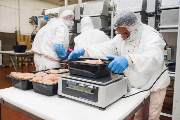 Persone Che Lavorano Linea Produzione Filetti Pollo Attrezzature Lavorazione Della — Foto Stock