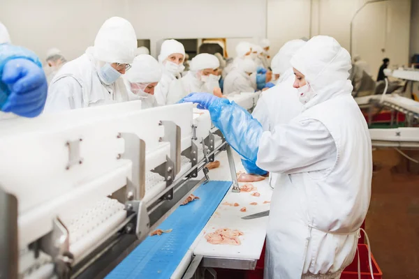 Bir tavuk fabrikasında çalışan bir grup işçi. Yiyecek işleme tesisi konseptleri. Et fabrikası. Tavuk taşıma bandında.