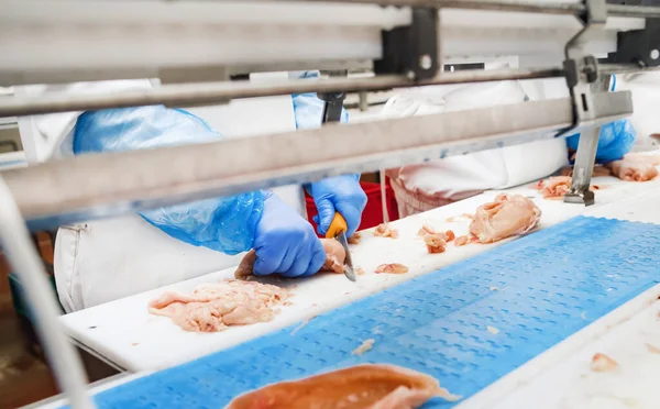 People working.Production line in the food factory stock photo.Factory for the production of food from meat.Industrial equipment at a meat factory.