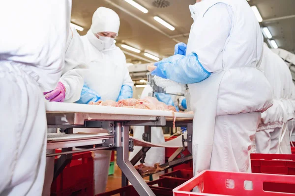 Linea Produzione Con Confezionamento Taglio Carne Persone Che Lavorano Allevamento — Foto Stock