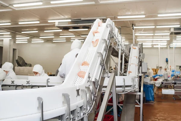 Paketleme ve et kesme ile üretim hattı. İnsanlar tavuk fabrikasında çalışıyor. Stok fotoğrafı..