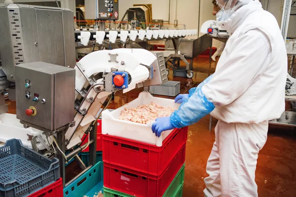 Production line in the food factory stock photo.Workers at meet industry handle meat organizing packing shipping loading at meat factory.