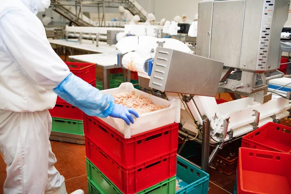 Linea Produzione Nella Fabbrica Alimentare Magazzino Photo Workers Soddisfare Industria — Foto Stock