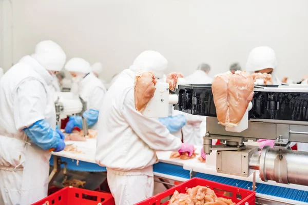 Modern Gıda Fabrikasında Otomatikleştirilmiş Üretim Hattı Üretimi Için Bir Fabrika — Stok fotoğraf