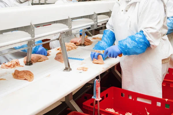 Automated Production Line Modern Food Factory Factory Production Food Meat — Stock Photo, Image