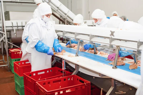 Automated production line in modern food factory.Factory for the production of food from meat.Industrial equipment at a meat factory.