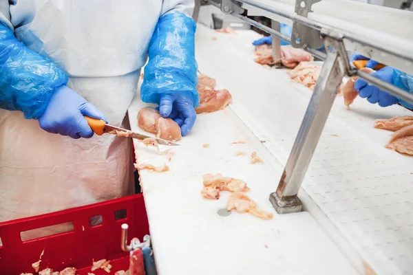 現代の食品工場での自動生産ライン 肉からの食品の生産のための工場 食肉工場での産業機器 — ストック写真