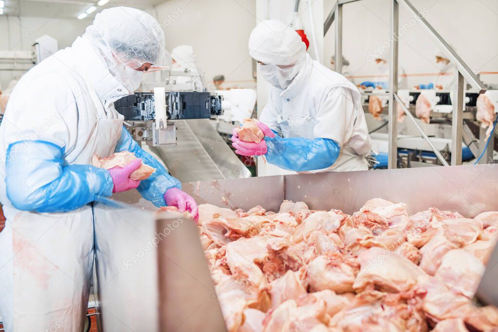 Production line with packaging and cutting of meat.People working at a chicken factory, stock photo.Meat processing equipment.