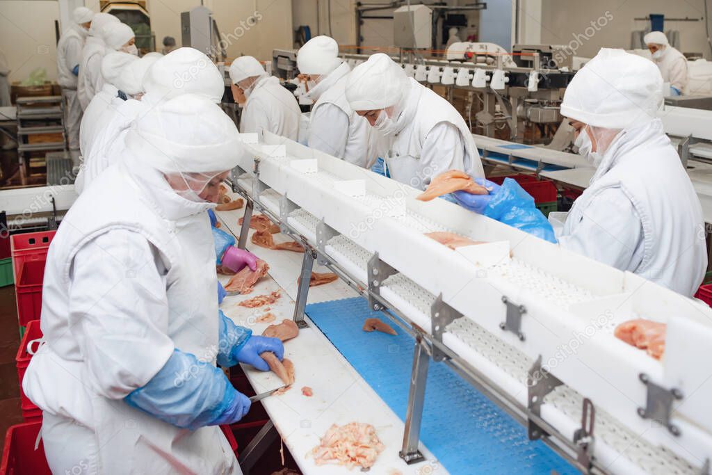 Automated production line in modern food factory.Factory for the production of food from meat.Industrial equipment at a meat factory.