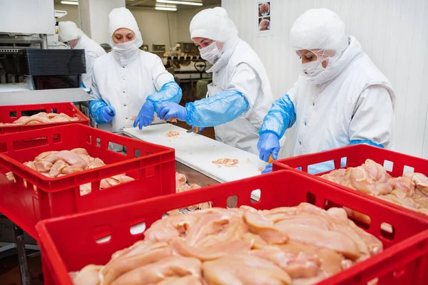 Meat processing plant. Production line of meat.Line for the production of meat with packaging and cutting . Industrial equipment at a meat factory.