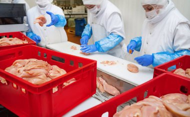 Tavuk fileto üretim hattı. Et üretim fabrikası. Gıda endüstrisinde et işleme. Konveyör bandı üzerinde et dilimleri paketleme..