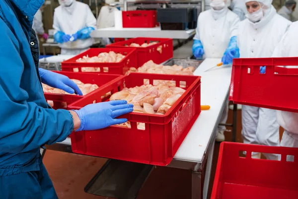 食肉加工工場 肉の生産ライン 包装や切断と肉の生産のためのライン 食肉工場の工業設備 — ストック写真
