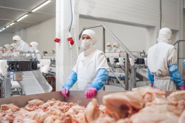 Et işleme tesisi. Bir tavuk fabrikasında çalışan bir grup işçi gıda işleme fabrikası kavramları. Modern gıda fabrikasında üretim hattı..