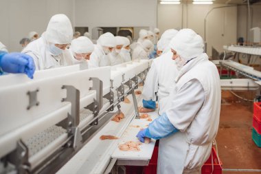 Tavuk fileto üretim hattı. Yarı bitmiş et ürünleri üretimi için sıra. Etten gıda üretimi için fabrika..