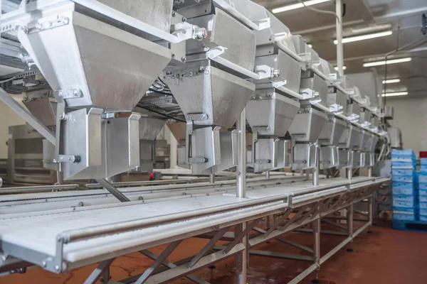 Chicken fillet production line .Production line in the food factory.The meat factory.Meat processing equipment.