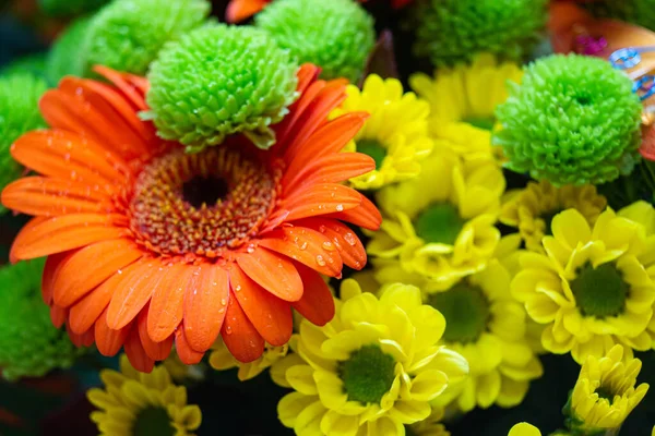 Primo Piano Fiori Freschi Con Gocce Acqua Nella Tecnica Macro — Foto Stock