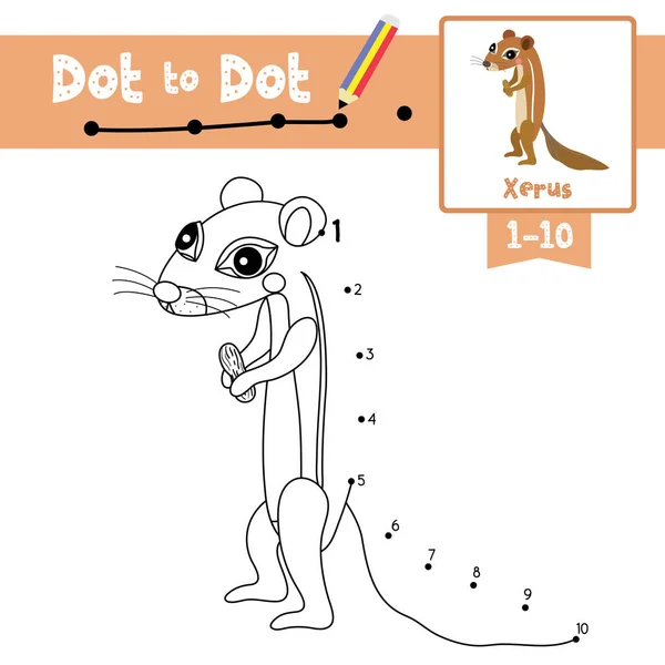 Dot Dot Juego Educativo Libro Para Colorear Animales Xerus Personaje — Archivo Imágenes Vectoriales