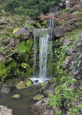 Bahar küçük şelale