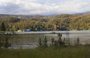 Bas göl ve Sierra Ulusal Ormanı, Kaliforniya