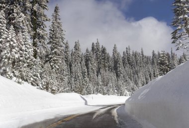Karda yol ve ormanla kaplı kış manzarası.